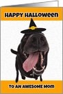 Happy Halloween to an Awesome Mom Cute Dog in Costume Humor card