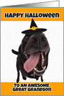 Happy Halloween to an Awesome Great Grandson Cute Dog Humor card