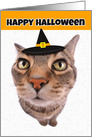 Happy Halloween Cute Cat in Witch Hat Humor card