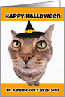 Happy Halloween Step Son Funny Cat in Witch Hat Humor card