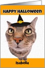 Happy Halloween Customize to Any Name Funny Cat in Witch Hat Humor card