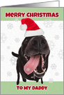 Merry Christmas Daddy Funny Dog in Santa Hat Humor card