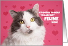 Get Well Soon Cat Humor card