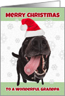 Merry Christmas Grandpa Funny Dog in Santa Hat Humor card