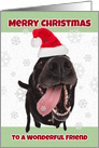 Merry Christmas Friend Funny Dog in Santa Hat Humor card