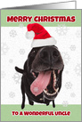 Merry Christmas Uncle Funny Dog in Santa Hat Humor card