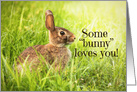 Happy Birthday Some Bunny Loves You card