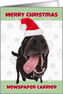 Merry Christmas Newspaper Carrier Funny Dog in Santa Hat Humor card