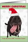 Merry Christmas From Custom Veterinary/Groomer Dog in Santa Hat Humor card