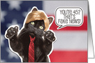 Happy 45th Birthday Trump Cat Humor card