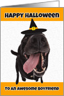 Happy Halloween Boyfriend Funny Dog in Witch Hat Humor card