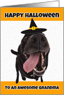 Happy Halloween Grandma Funny Dog in Witch Hat Humor card