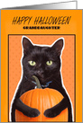 Happy Halloween Granddaughter Cute Black Cat with Pumpkin Humor card