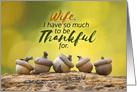 Happy Thanksgiving Wife Fall Acorns card