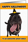 Happy Halloween Great Niece Cute Dog in Witch Hat Humor card