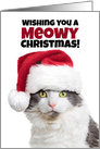 Merry Meowy Christmas and Purr-fect New Year Cat in Santa Hat card