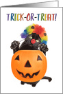 Happy Halloween Cat Dressed as Clown Humor card