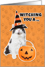 Happy Halloween Funny Cat in Witch Hat Humor card