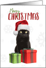 Merry Christmas Cute Black Cat in Santa Hat Humor card