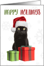 Happy Holidays Cute Black Cat in Santa Hat Humor card