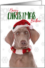 Merry Christmas Brother Weimaraner Dog Humor card