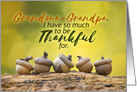 Happy Thanksgiving Grandma and Grandpa Fall Acorns card