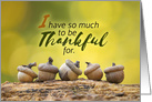 Happy Thanksgiving For Anyone Fall Acorns card