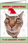 Merry Christmas Student Funny Cat in Santa Hat Humor card