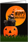 Happy Halloween Grandson Cute Black Cat in Pumpkin card