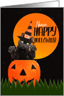 Happy Halloween Niece Cute Black Cat in Pumpkin card