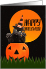 Happy Halloween For Anyone Cute Black Cat in Pumpkin card