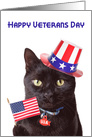 Happy Veterans Day Cute Patriotic Cat card