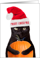 Merry Christmas Not Over Halloween Yet Humor card