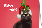 Merry Christmas From the Cat Under Mistletoe Humor card