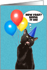 Happy New Year Cat Licking Paw Humor card
