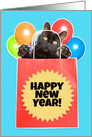 Happy New Year For Anyone Cat in a Bag with Balloons card