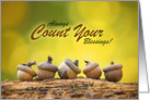 Happy Thanksgiving Always Count Your Blessings Acorns Photograph card