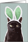 Happy Easter For Anyone Funny Cat in Bunny Ears Humor card