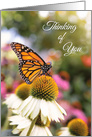 Thinking of You Beautiful Monarch Butterfly card