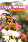Happy Birthday Grandmother Beautiful Butterfly Photograph card