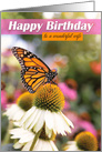 Happy Birthday Wife Beautiful Butterfly Photograph card