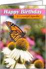 Happy Birthday Stepmother Beautiful Butterfly Photograph card