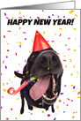 Happy New Year Funny Dog Celebrating Humor card