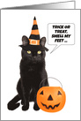 Happy Halloween From The Cat Humor card