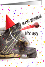 Happy Birthday For Anyone Turtle Humor card