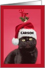 Merry Christmas Custom Name For Anyone Mistletoe Cat Humor card