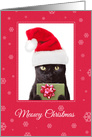 Meowy (Merry) Christmas Cute Cat in Santa Hat Humor card