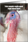Happy Thanksgiving Tofu Sounds Good Turkey Humor card