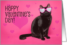 Happy Valentine’s Day Cat in Glasses Humor card