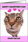 Happy Valentine’s Day from the Cat Humor card